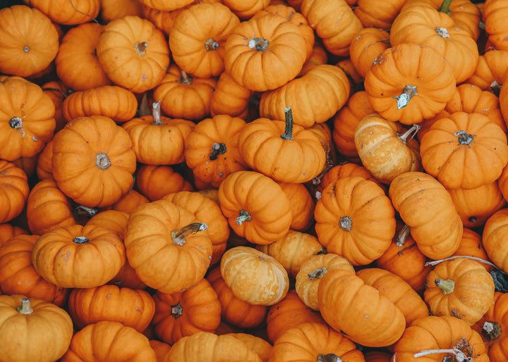 Healthy Pumpkin Recipes for Pain Relief